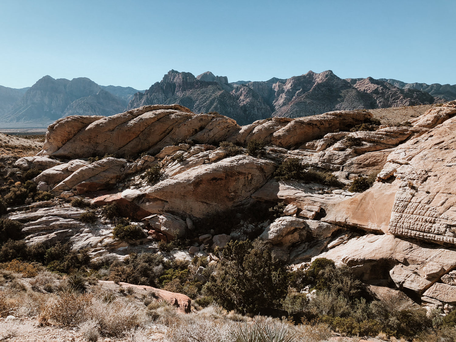 National Park Las Vegas