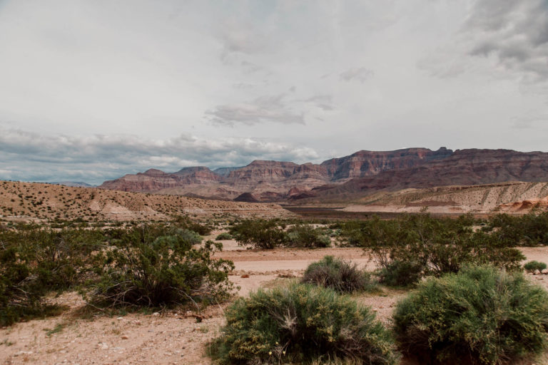 Read more about the article National Parks in Nevada