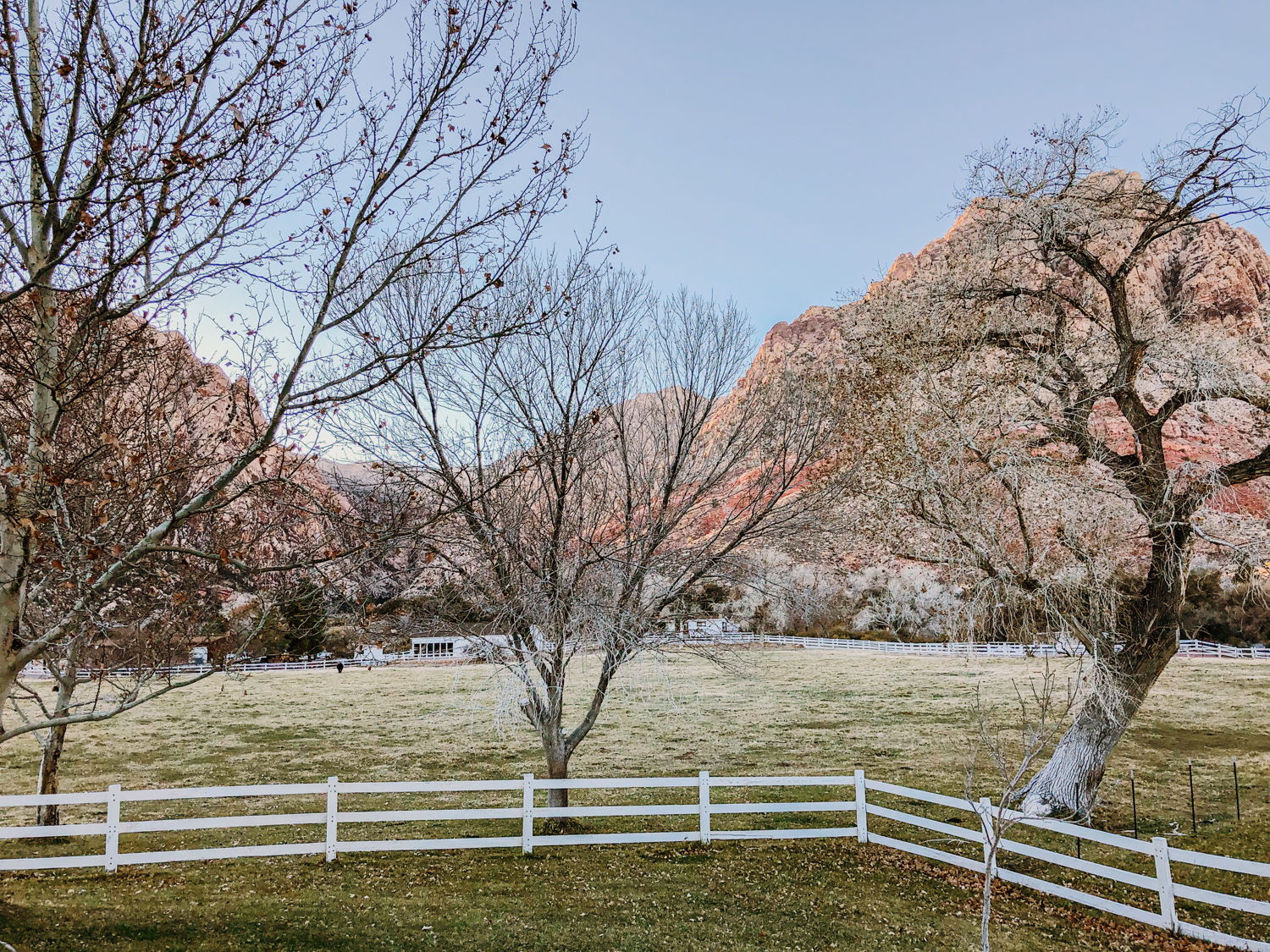 Spring Mountain Ranch Nevada