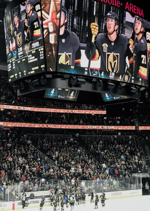 T-Mobile Arena Hockey Game